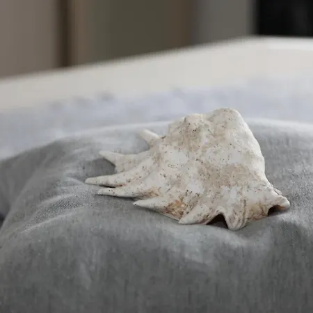 Appartement Ferien Im Reetdachhaus