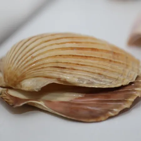 Ferien Im Reetdachhaus * Berumerfehn