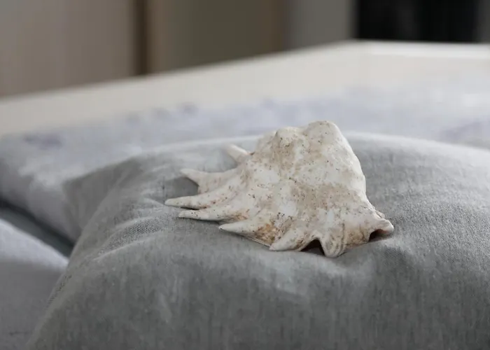 Appartamento Ferien Im Reetdachhaus